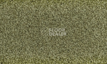 Ковролин Vorwerk Exclusive1009/Elara 4f75 фото 1 | FLOORDEALER